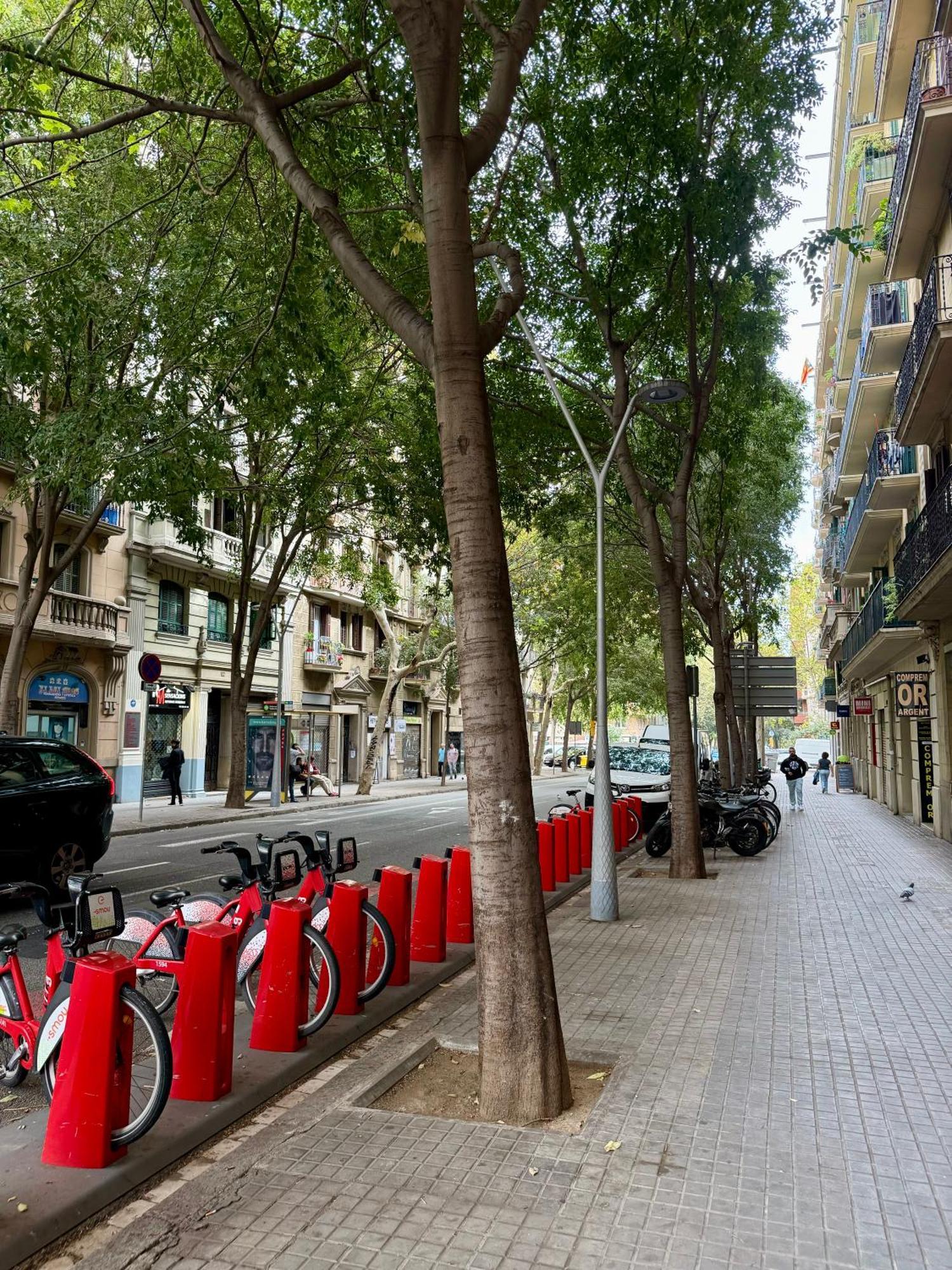 Newly Renovated Stylish Eixample - Great Location Барселона Екстер'єр фото